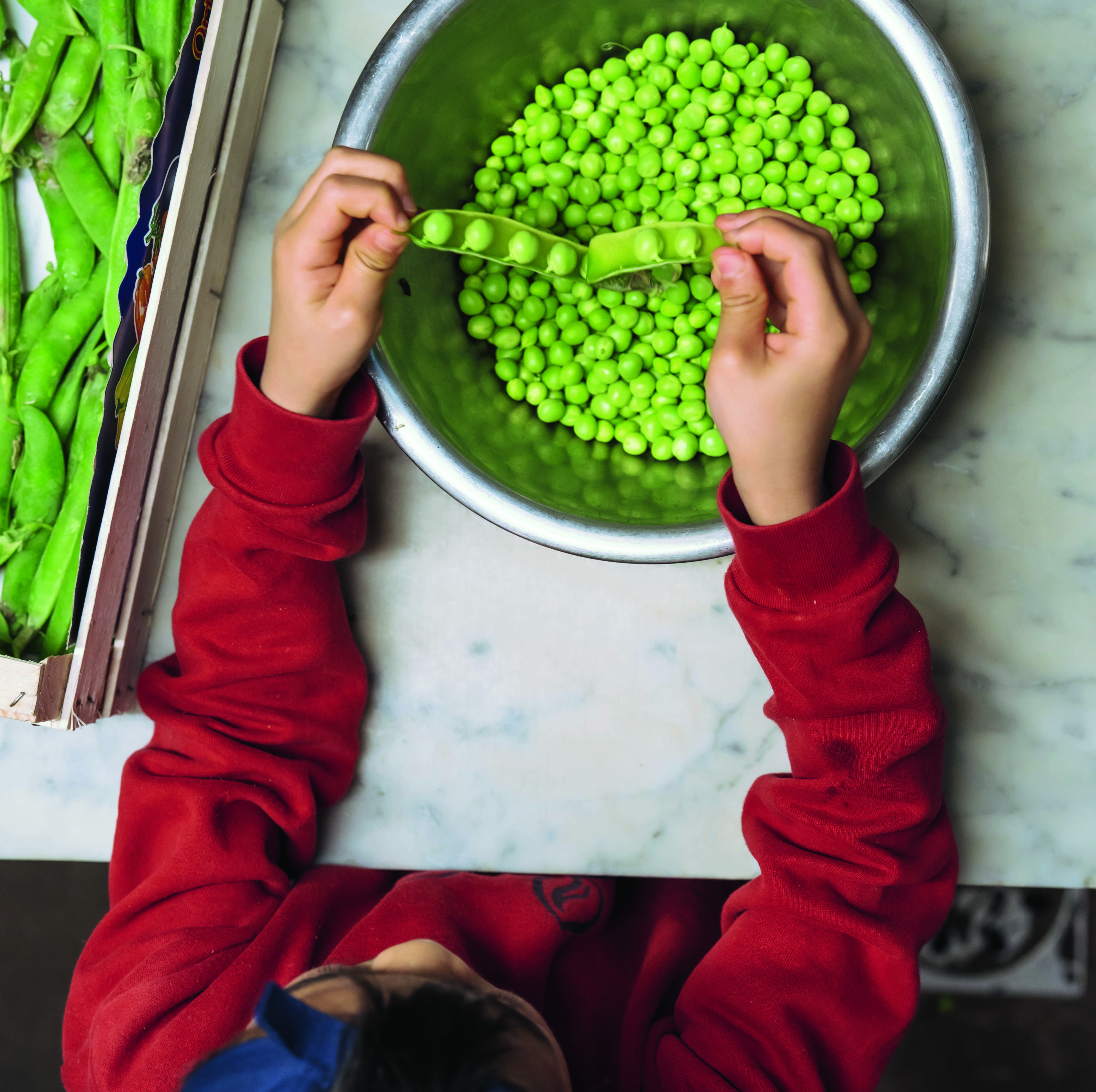 New Books for the New Year: Breakfast, Lunch, Tea with Children: Rose Bakery