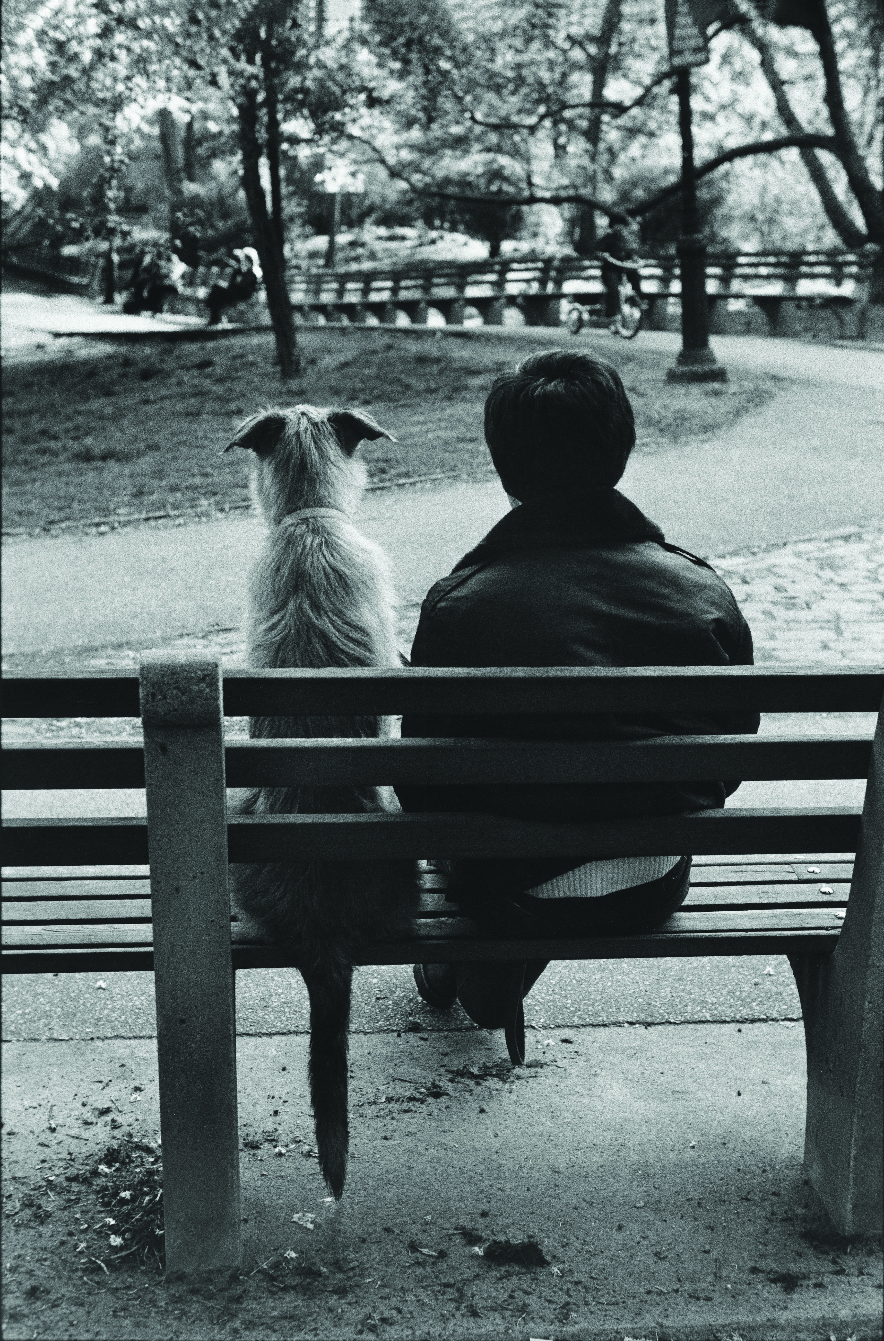 New Books for the New Year: Elliott Erwitt: dogdogs