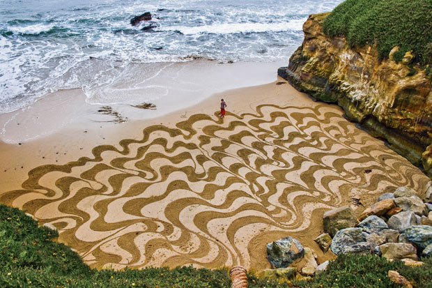 Ocean Beach - Andres Amador