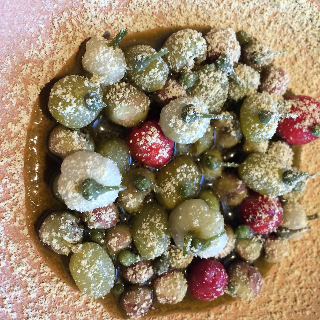 Native berries in a seaweed broth at Noma Australia. Image courtesy of Roberta Muir's Instagram