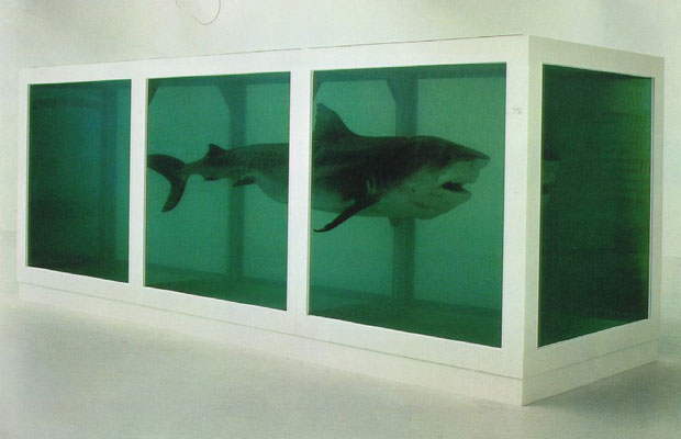 Damien Hirst, The Physical Impossibility of Death in the Mind of Someone Living (1991)