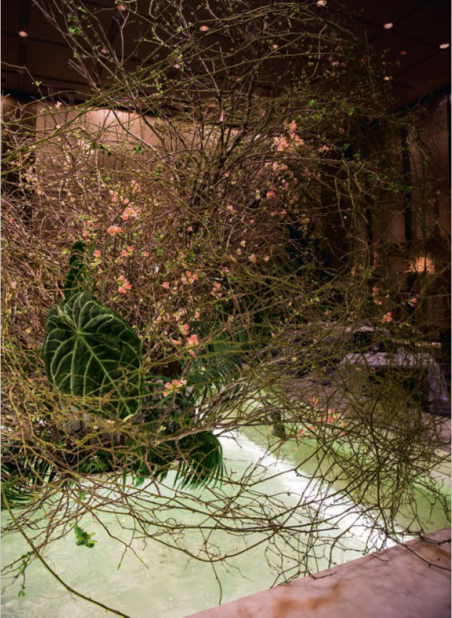 Philodendron gloriosum leaves, wild greenbrier vines, quince and mountain laurel branches, and sago palm leaves, installed at the Pool restaurant in the Seagram Building, New York. Arrangement by Emily Thompson Flowers. Photograph by Mia Soojung Kim as featured in Blooms: Contemporary Floral Design