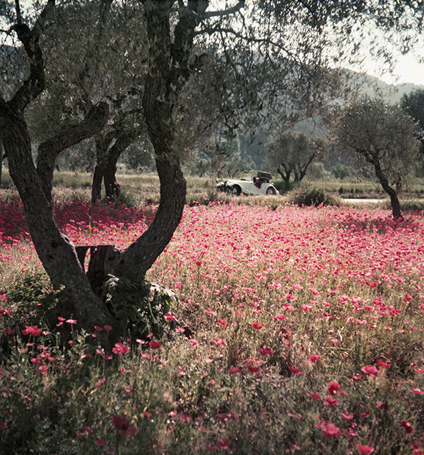 Florette dans le Morgan. Provence, mai 1954. Photographie J. H. Lartigue © Ministère de la Culture - France / AAJHL