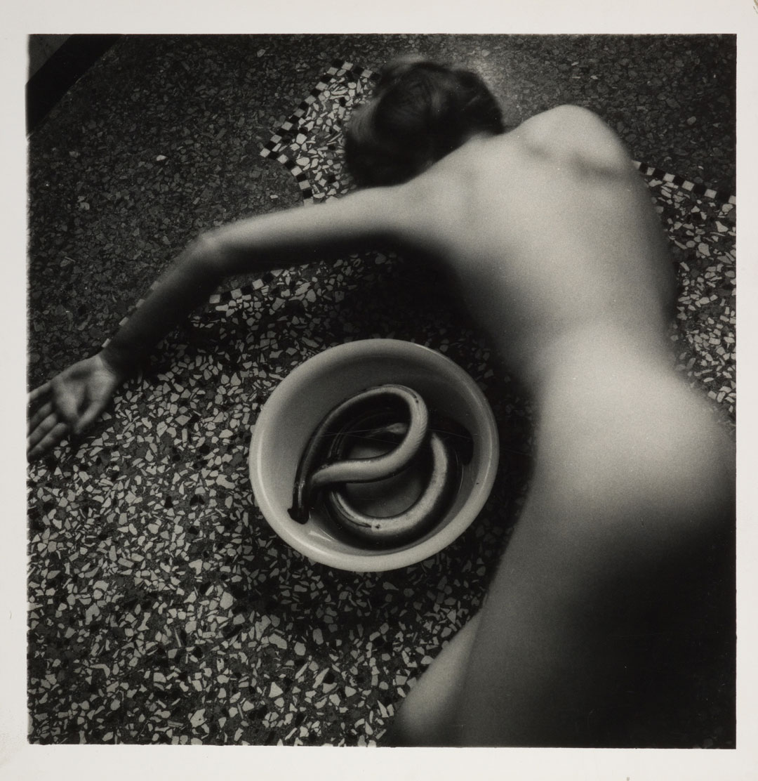 Eel series, Venice, Italy (1978) by Francesca Woodman