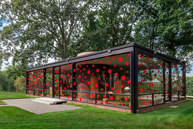 Yayoi Kusma's installation at Philip Johnson's Glass House. Photograph by Matthew Placek