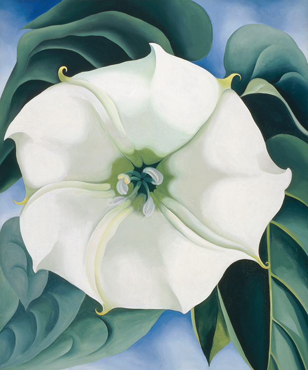 Jimson Weed (1932) by Georgia O'Keeffe