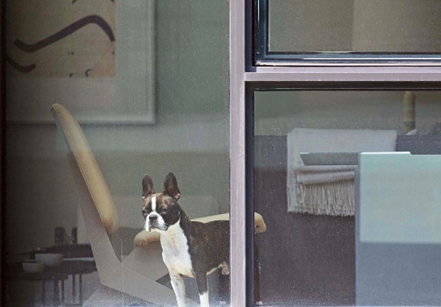 From Neighbours by Arne Svenson