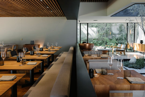 The new Pujol - 133 Tennyson in Mexico City’s Polanco district