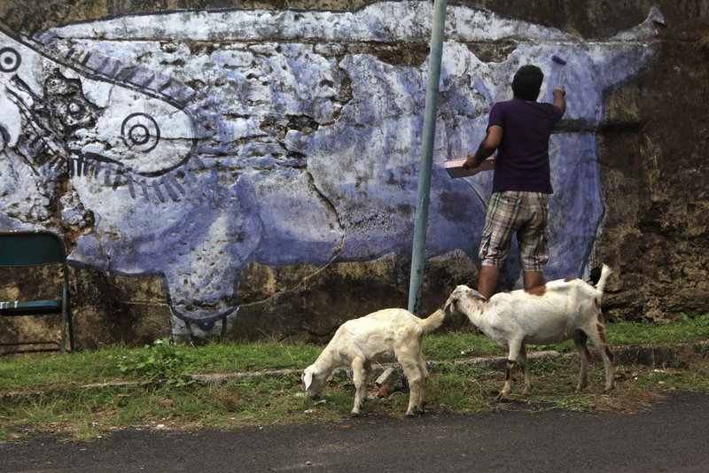 Sidhhartha Kararwal at The Kochi-Muziris Biennale