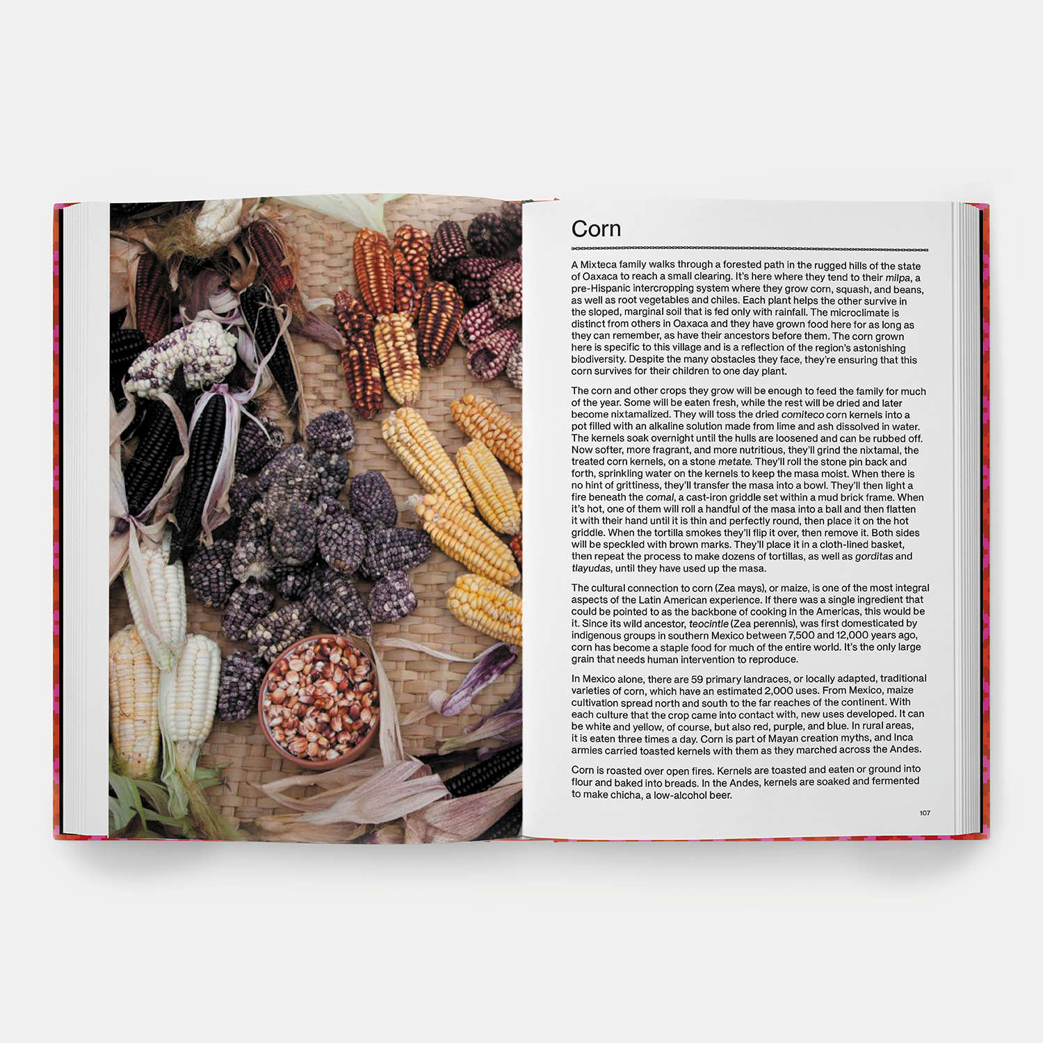 Pages from The Latin American Cookbook